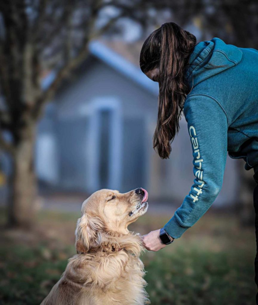 Dog getting one-on-one training.