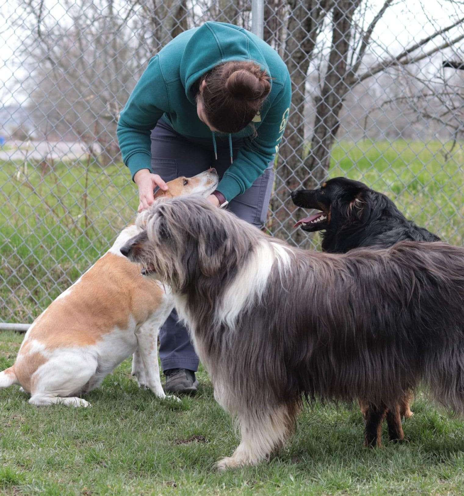 supervised playtime at daycare