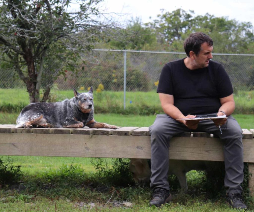 Staff member sitting beside a blue heeler resting calmly on a raised platform at The Loyalist Barkway