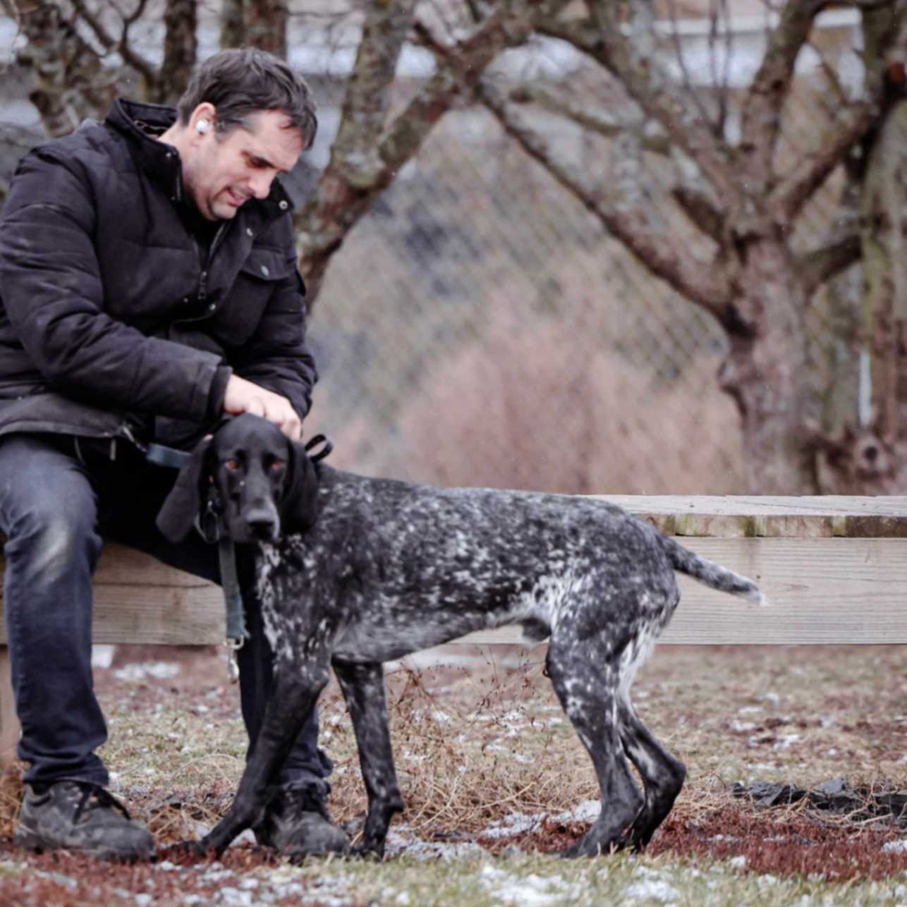 A man sitting on a bench patting a black and white German Shorthaired Pointer.