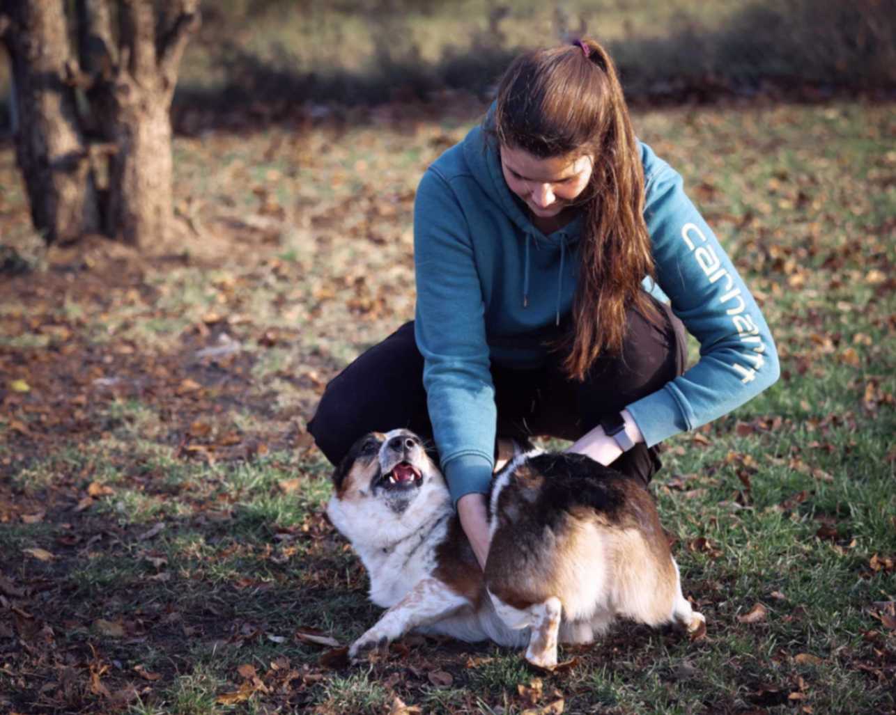 Person crouching and calmly petting a dog lying on the ground outdoors during a triald day.